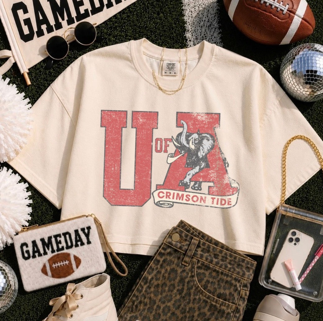 Distressed Alabama Preorder