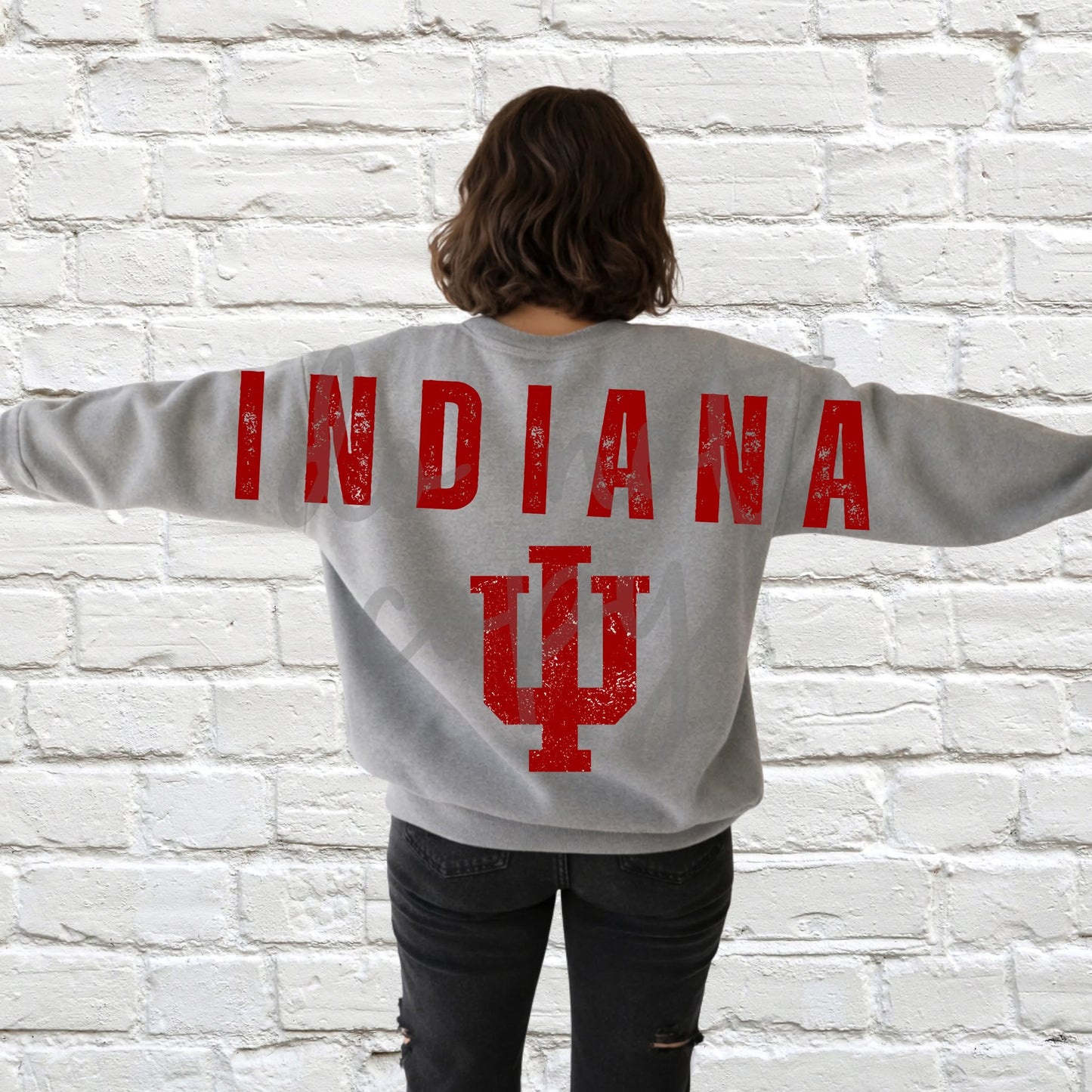 INDIANA Back Preorder