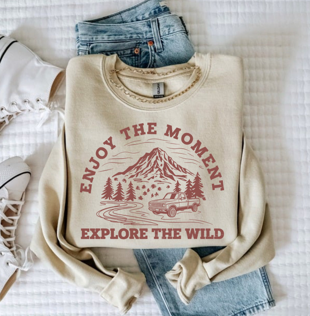 Explore The Wild Preorder