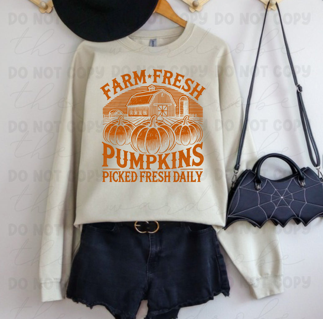 SALE Farm Fresh Pumpkins Preorder