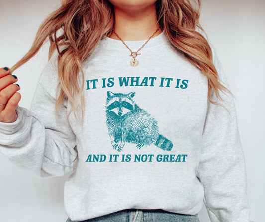 It is what it is sweatshirt preorder