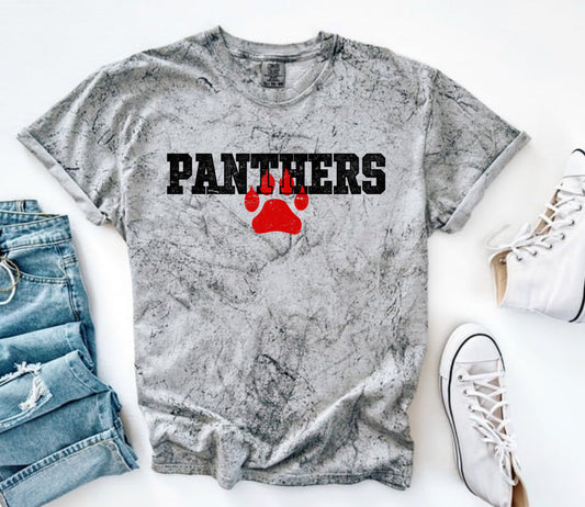 Panthers Grunge Preorder