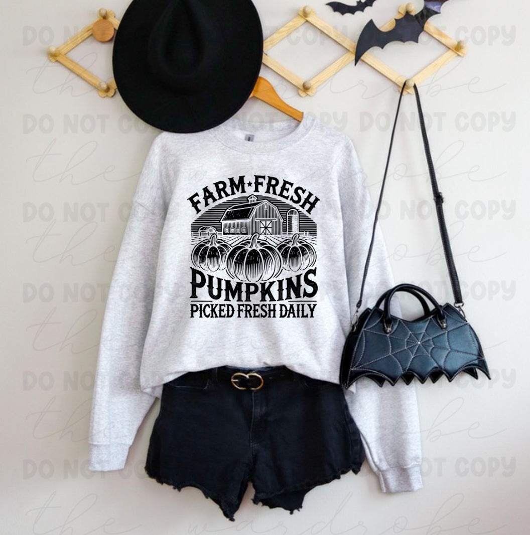 SALE Farm Fresh Pumpkins Preorder
