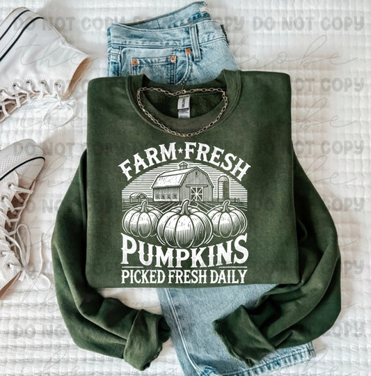 SALE Farm Fresh Pumpkins Preorder
