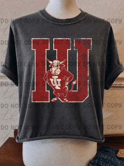IU Preorder