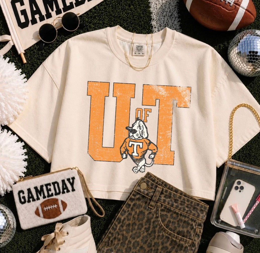 Distressed Tennessee Preorder