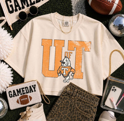 Distressed Tennessee Preorder