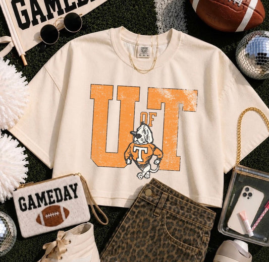 Distressed Tennessee Preorder