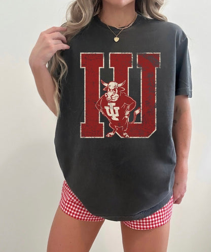 IU Preorder