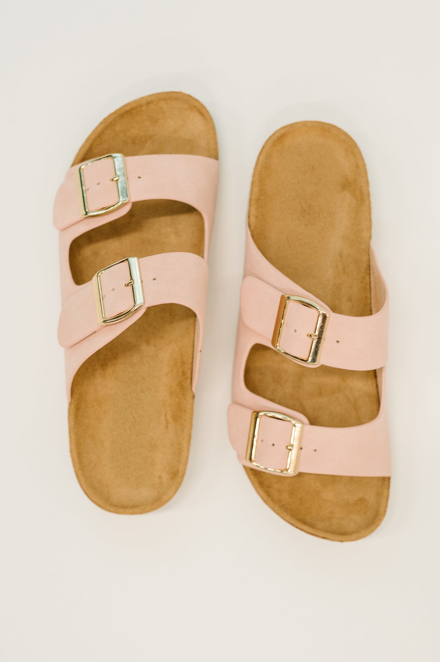 Double Buckle Slides in Blush