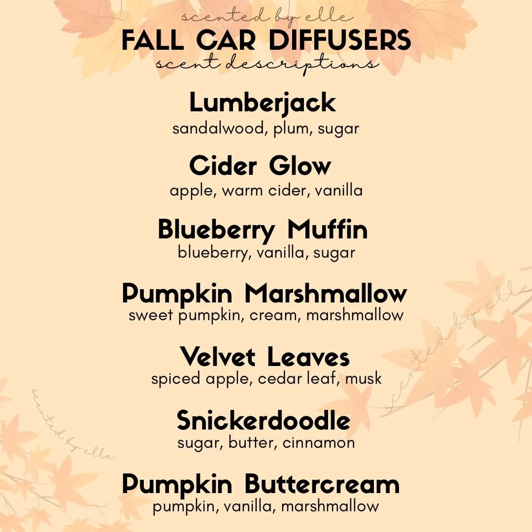 Car Diffuser Preorder