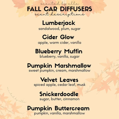 Car Diffuser Preorder