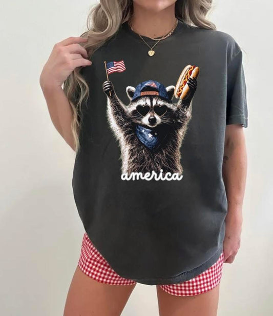 Raccoon America Preorder