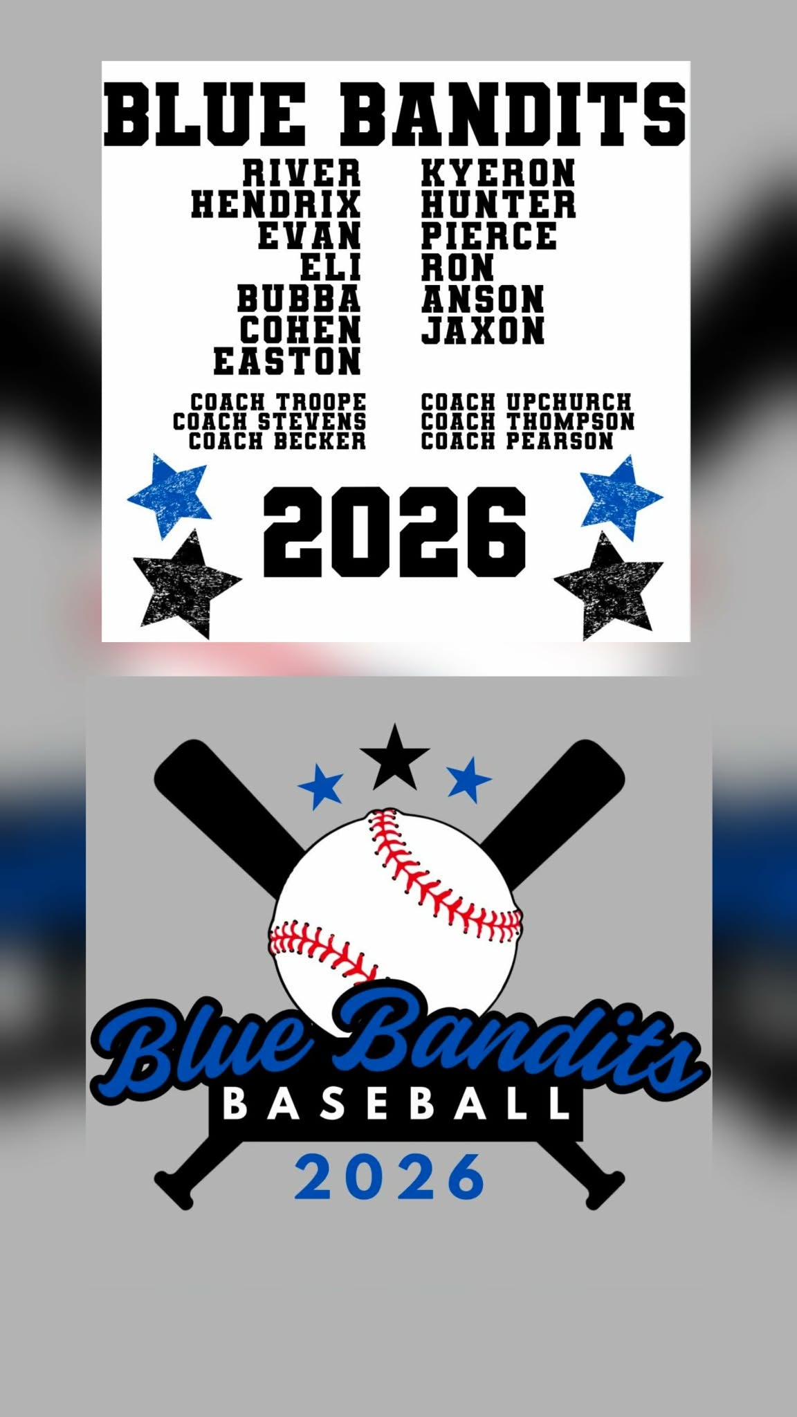 Blue Bandits Bats Preorder