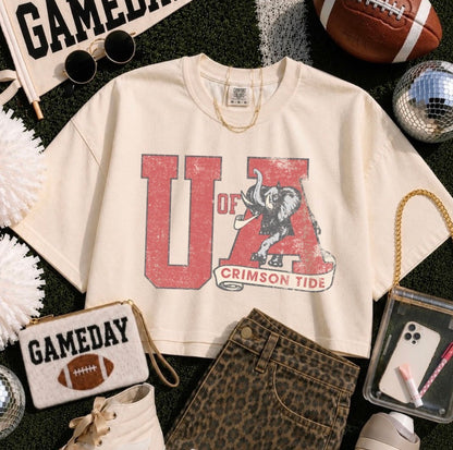 Distressed Alabama Preorder