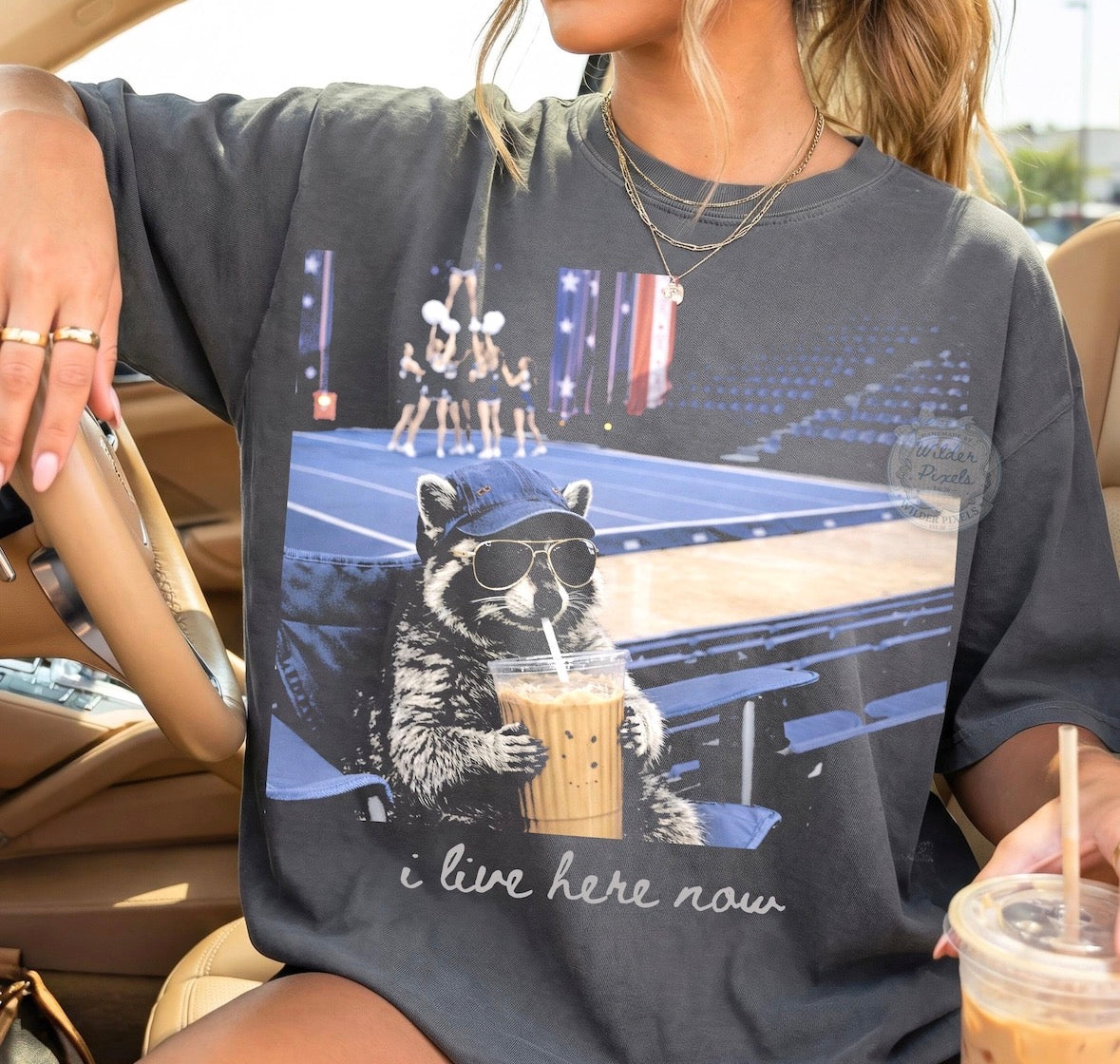 Cheer Raccoon Preorder