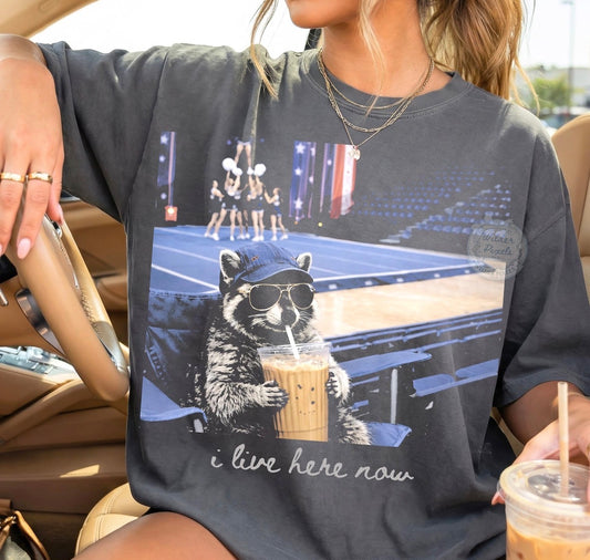 Cheer Raccoon Preorder