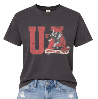Distressed Alabama Preorder
