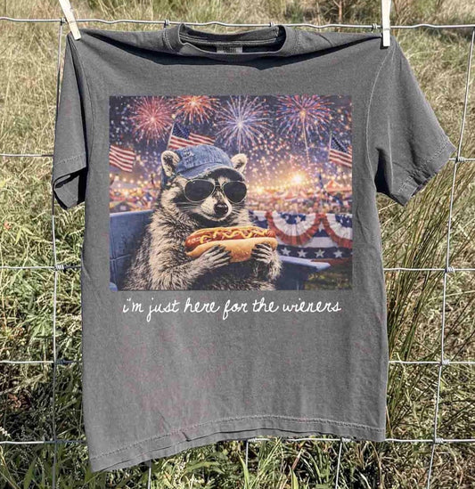 Fireworks Raccoon Preorder