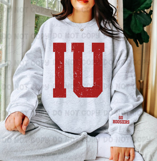 IU Sleeve Preorder