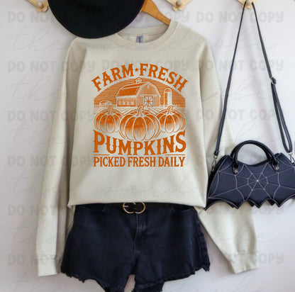 SALE Farm Fresh Pumpkins Preorder