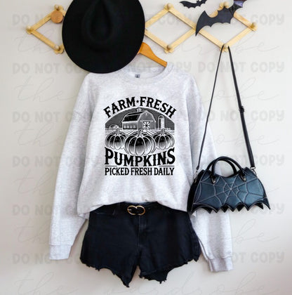 SALE Farm Fresh Pumpkins Preorder