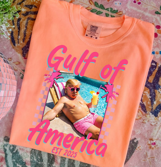 Gulf of America Preorder